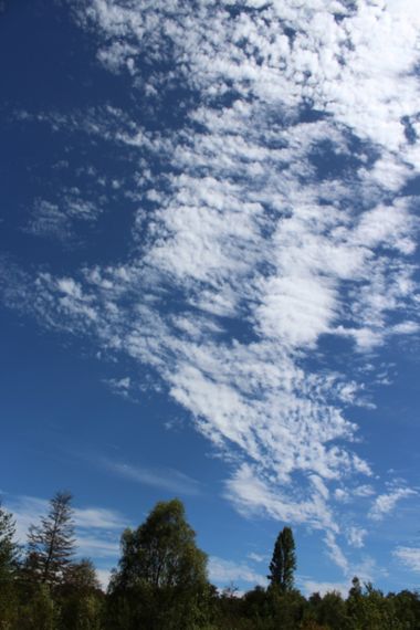 XxPrOzMeNxX en Hamelin: Paisaje, #nubes #cielo #azul #arboles 