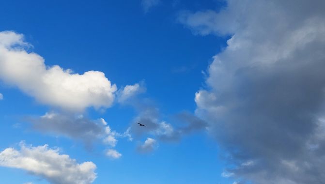 Mpinfante en Hamelin: Paisaje, #Nube fumadora con naríz respingona 🌬☁️