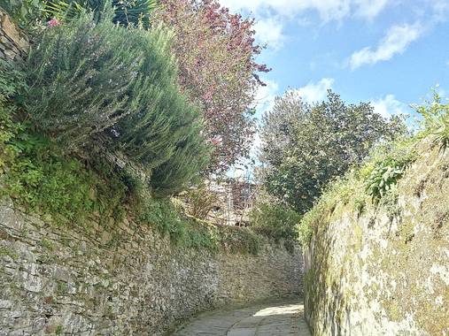 Susandresro en Hamelin: Paisaje  (Mondoñedo), MONDOÑEDO. Lugo