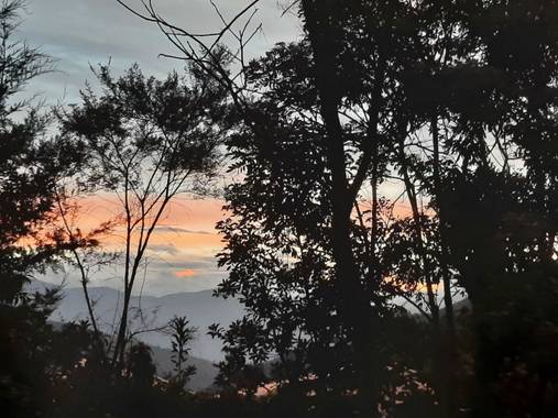 Yanne Ibarra en Hamelin: Paisaje  (San Bernardo), #atardecer #arboles 