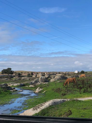 Info en Hamelin: Paisaje, Día de noviembre en Extremadura, finca el Mosquin 
