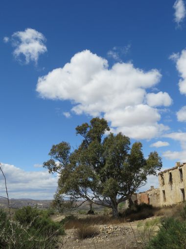 Solerantonio2 en Hamelin: Paisaje  (Sorbas), Coinsidencias visuales
