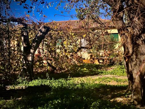 Sayurigion en Hamelin: Paisaje  (Cantalpino), #parquesyjardines 