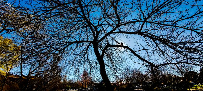 Gmijares18 en Hamelin: Paisaje  (Las Rozas de Madrid), #paisajesyjardines 