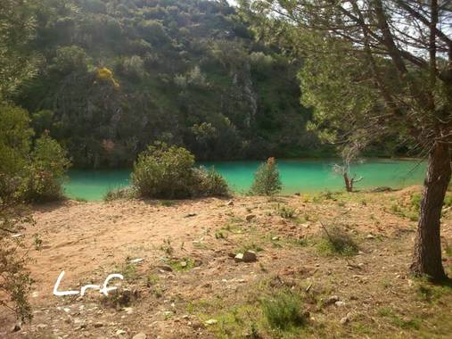 Luisinhorf en Hamelin: Paisaje, Río Agrio, como se le conoce, a su paso por el término municipal de El Castillo de las Guardas. Entre pinos, eucaliptos...