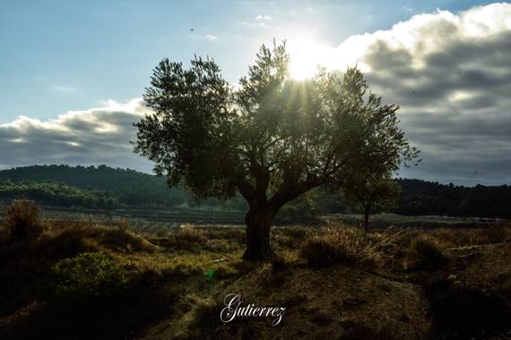 Norotoro en Hamelin: Paisaje  (Caravaca de la Cruz)