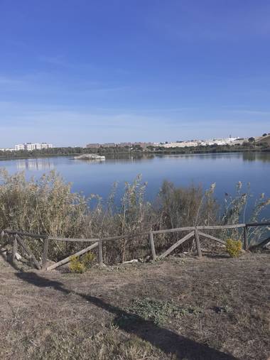 Diana Rosa en Hamelin: Paisaje  (Jerez de la Frontera), El parque de torox,Jerez de la frontera