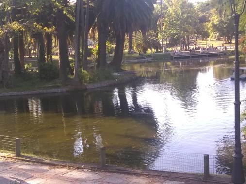 Letazblunti en Hamelin: Paisaje, Parque rodó. Montevideo