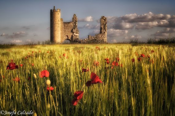 Josefacalzado en Hamelin: Paisaje  (Torrijos), Se trata de un atardecer en los campos de amapolas con el castillo de Caudilla al fondo
#spring2022 #springt...