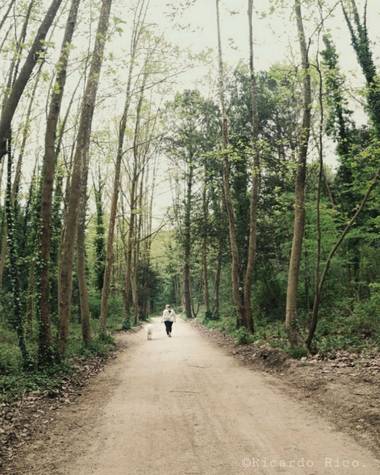 Rricoparrillas en Hamelin: Paisaje  (Dosrius), Paseo por el bosque.
#bosquesdecatalunya #bosque #dosrius #catalunya 