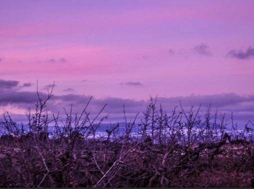 Kiralileahu en Hamelin: Paisaje, #invierno20 -bonito atardecer 