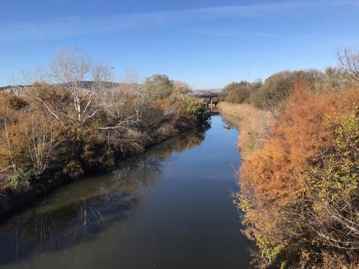 Jumolo01 en Hamelin: Paisaje  (Rivas-Vaciamadrid), Río Jarama
