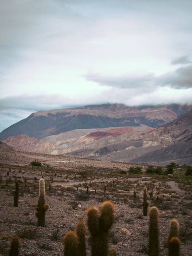 Pikeriel en Hamelin: Paisaje, #landscape #paisaje #cactus #desert #desierto 