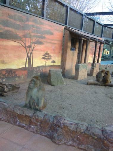 GreenPhoto en Hamelin: Fauna 