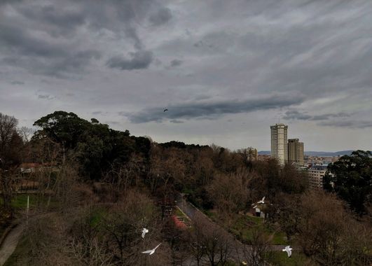 Mpinfante en Hamelin: Paisaje, Útima toma de cánido, y última foto con el móvil  (espero) antes de utilizar mi cámara. 