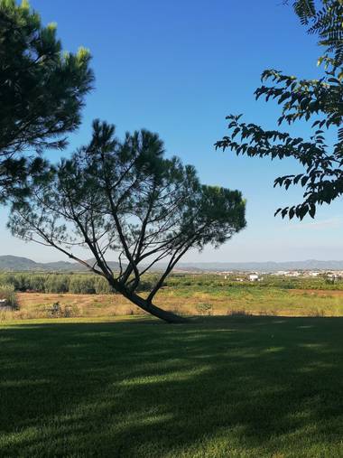Pil_artero en Hamelin: Paisaje  (Puebla de Vallbona), #parquesyjardines