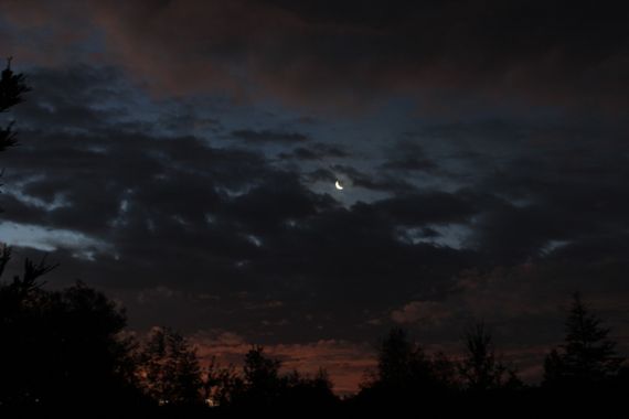 XxPrOzMeNxX en Hamelin: Paisaje, #abend #arboles #azul #bäume #blau #blue #clouds #darkness #dunkelheit #figuras #figures #licht #light #luna #luz #mond #...