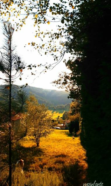 Mpinfante en Hamelin: Paisaje  (Cesuras)