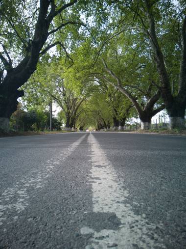 l.campos.c1980 en Hamelin: Paisaje  (Villa Alegre), Lugares de chile 