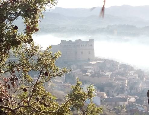 zoexaviyeva2010 en Hamelin: Flora  (Valderrobres), #fruto #otoño20 #hojas