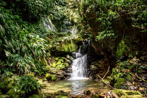 Camiloacca94 en Hamelin: Paisaje  (Sabanalarga), Un lugar mágico, donde nace un hermoso manantial en #sabanalarga #casanare #sabanatravel #agua #Landscape ...
