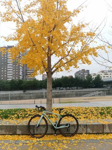 Trasgusmc7 en Hamelin: Paisaje  (Madrid), #parquesyjardines
@trasgusmc7
Mari Carmen 