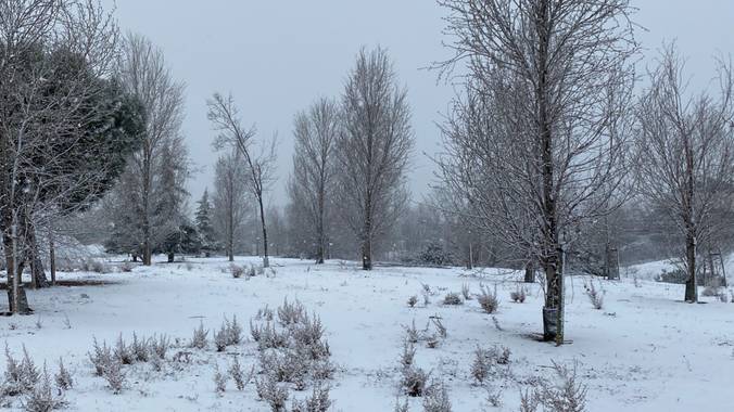 talabi18 en Hamelin: Paisaje  (Boadilla del Monte), Nevada Histórica #madridnevadon2021