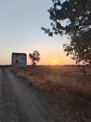 José Antonio en Hamelin: Paisaje  (Carrer de Macià Vila), #rural #rurales