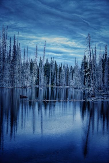 Wildwood en Hamelin: Paisaje  (Yukon), Wetlands 🏞️

#wetlands #landscapephotography #landscapelovers  #landscapes #nature #naturelovers #naturaleza #fores...