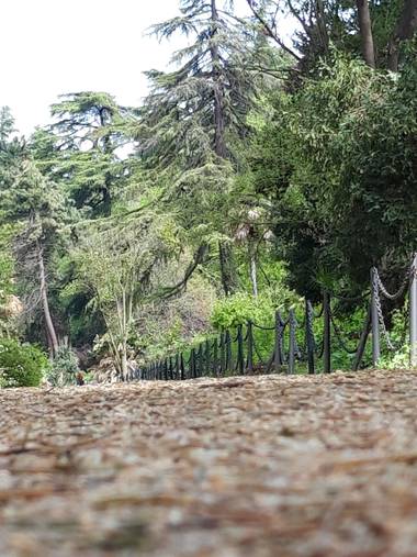 Wilyrami en Hamelin: Paisaje, Paseo del Moro 