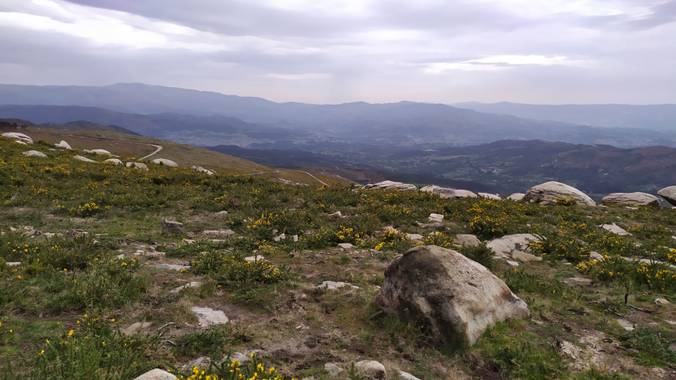 David en Hamelin: Paisaje  (A Cañiza), #Paisaje
