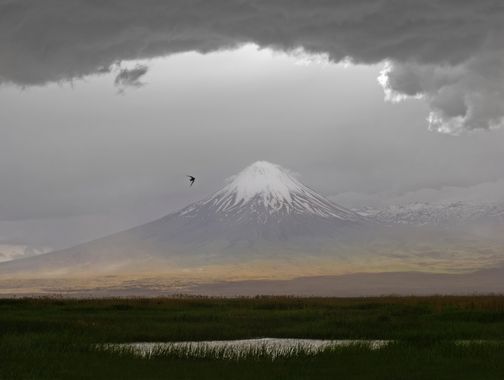 Ignicapillus en Hamelin: Paisaje  (Ararat Province), Pequeño Ararat (Monte Sis) II

El macizo volcánico del Ararat tiene dos cimas bien diferenciadas; el p...