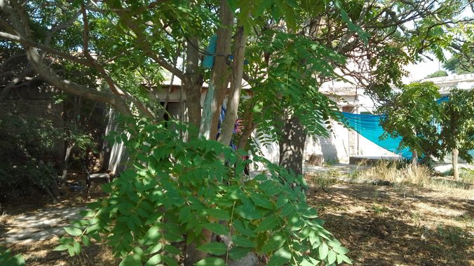 andrade151354488 en Hamelin: Paisaje  (General Conesa), #isabella 