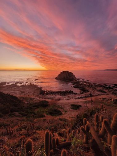 Miguel Becerra en Hamelin: Paisaje  (Algarrobo), Un atardecer en el Islote Peñablanca en Algarrobo, Chile

#sunset #atardecer #naturaleza #playa #chile #fo...