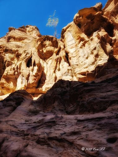 Eva.160968 en Hamelin: Paisaje  (البتراء), #paisaje #petra 