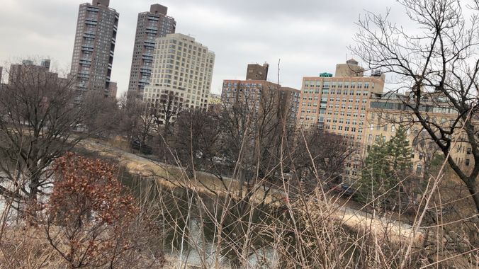 marializpaulino09 en Hamelin: Paisaje  (Nueva York), #paisajes #centralpark 