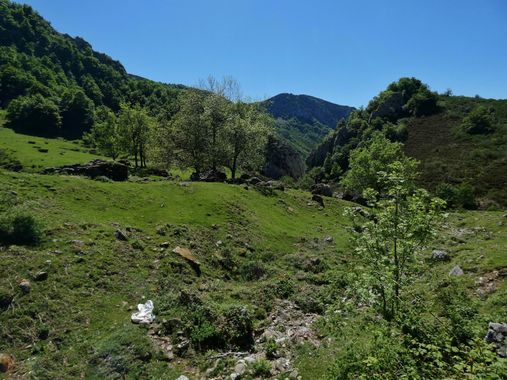 mariale en Hamelin: Paisaje  (Caso), 📸 #marialemdza
💚 🌿🌸🌿💚
#CumpleHamelin
#Naturaleza #BellezaNatural #paisaje 
#Asturias  #Montaña #forest #bosque #...