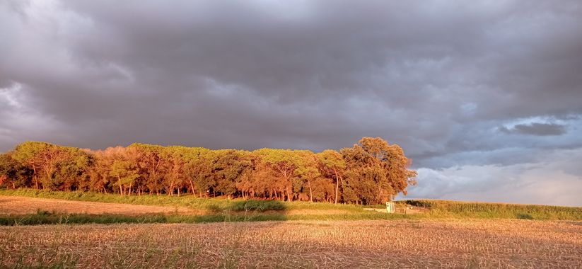 Bellasira en Hamelin: Paisaje  (Vallès Oriental), .
