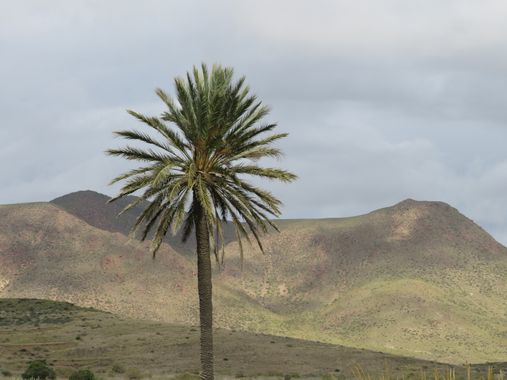 Solerantonio2 en Hamelin: Paisaje  (Níjar), Coinsidencias visuales