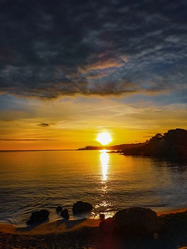 ARTURO  en Hamelin: Paisaje  (Gerona), #amanecer2024#emporda