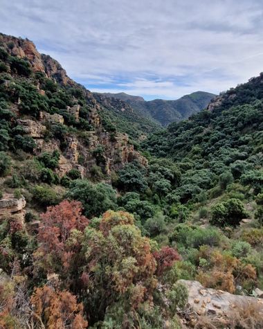 aidalzira en Hamelin: Paisaje  (Alfondeguilla), Foto subiendo al castillo de castro,iniciando la ruta desde Alfondeguilla.
#paisaje #comunidadvalenciana #l...