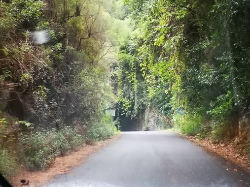 javicabl32 en Hamelin: Paisaje  (Barlovento), . 