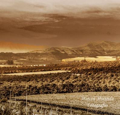 Ruthmacarena en Hamelin: Paisaje, #paisajes#vintage#@hamelin#travelphotografy#photografer#photoimagen#nature#fotografosdemendoza#fotografiaenmendoza#visit...
