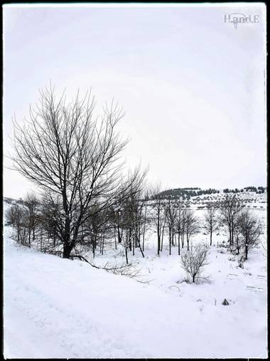 H.and.elifestyle95 en Hamelin: Paisaje  (Arganda del Rey), #invierno20