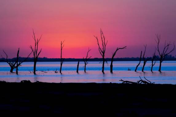 Juani✨ en Hamelin: Paisaje  (San Justo), El humedal Laguna Mar Chiquita y Bañados del río Dulce en Córdoba es el hogar de más de 400 especies animales, alg...