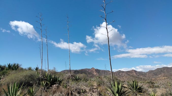 Solerantonio2 en Hamelin: Paisaje  (Níjar), Coinsidencias visuales