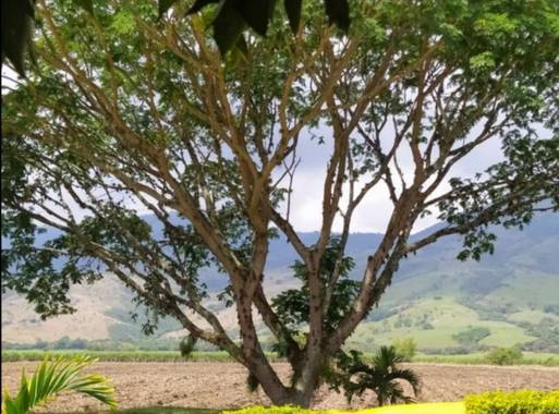 Nancypulido284 en Hamelin: Paisaje, Me encanta este paisaje#paisaje#hermoso 