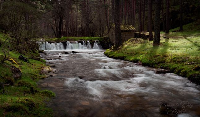 fdhphotos en Hamelin: Paisaje  (El Espinar), @fdefotos1