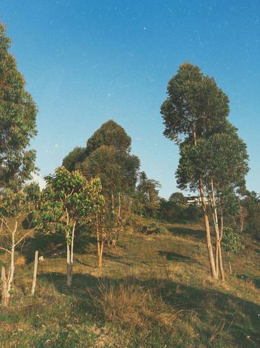 Dayannapalacio152 en Hamelin: Paisaje  (Santa Bárbara), Balcón de los bellos paisajes 🌲🍃
