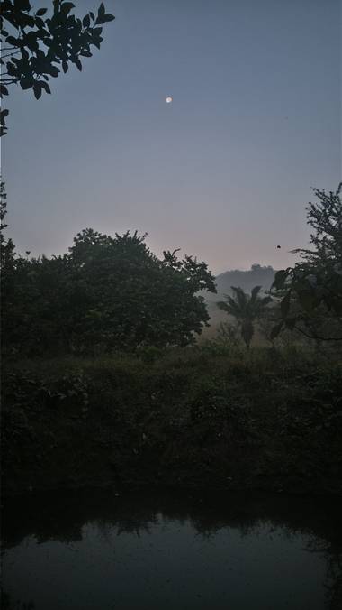 wendydearr en Hamelin: Paisaje, 8 a.m. aún oscuro y la luna a la vista, comúnmente a esta hora ya está el sol a fuera. Sin dudar fue un día extraño. #Elte...